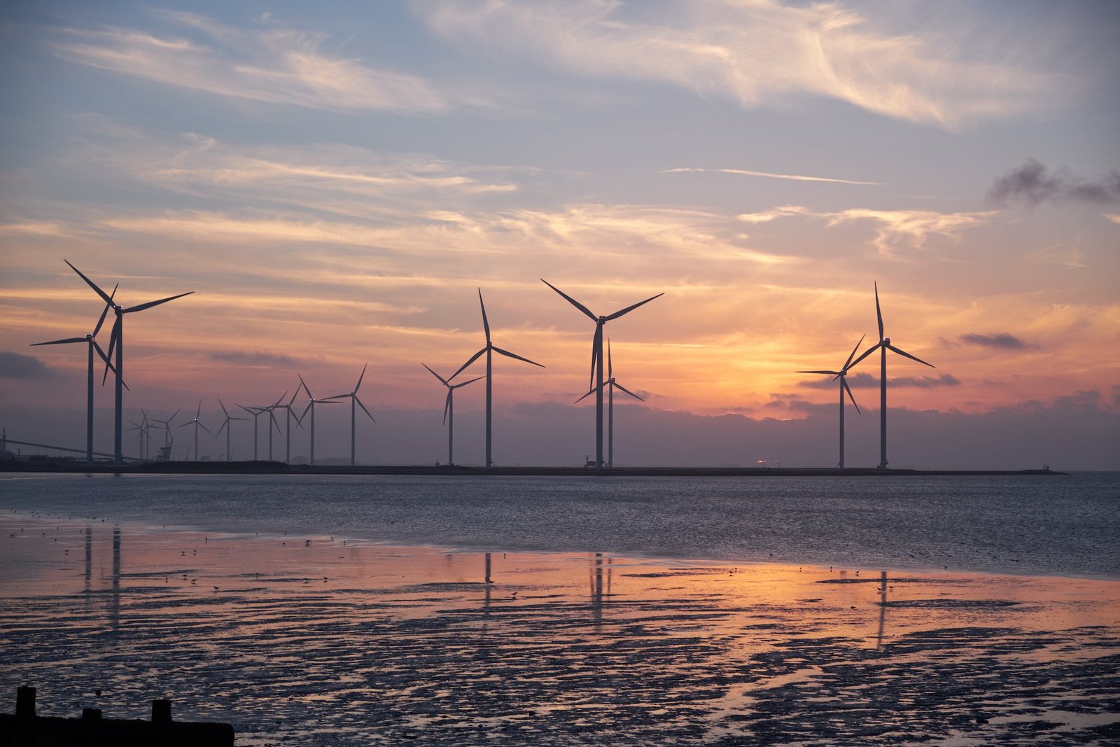 Harnessing the Wind and Waves: CFD Applications in Renewable Energy Systems
